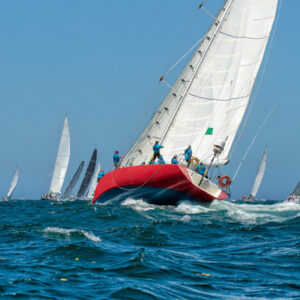 Sichern & Befestigen